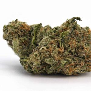 Guava Cake Strain
