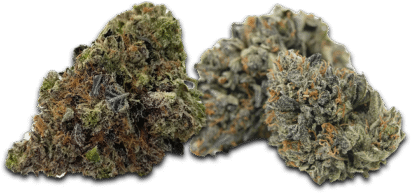 happy hour strain