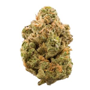 Pina Colada Strain