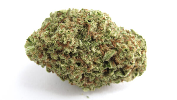 papaya punch strain