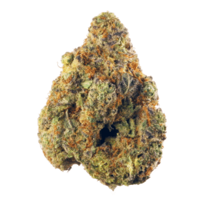 Night Krawler Strain