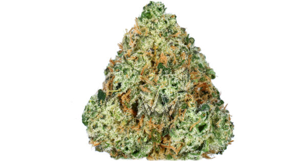 Sour Runtz Strain